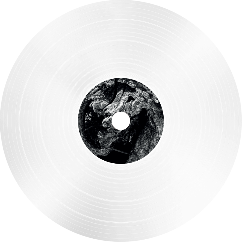 vinile piÙ